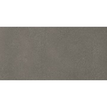 VLT 300X600 XK-8914 D.GREY SPH 1E
