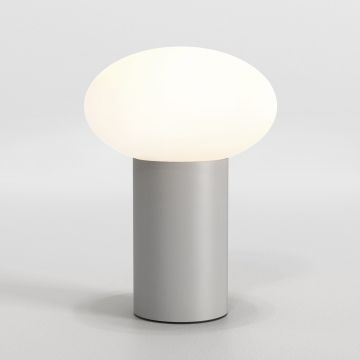 Zeppo Portable LED TL 2700K grijs