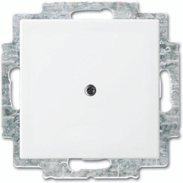 BUSCH C-PLATE BLIND W. FRAME SI-B