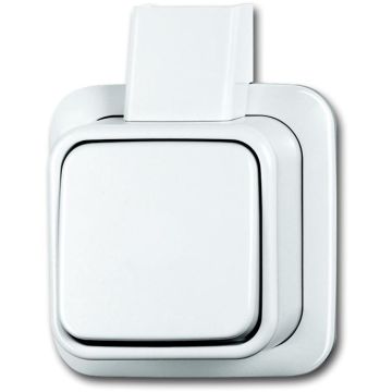 SWITCH SM TOGGLE + PLATE