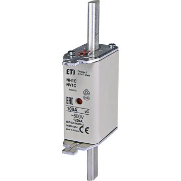 NH1C GG 100A/500V