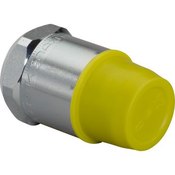 GAS FLOW GUARD R3/4 MT-RP3/4 FT