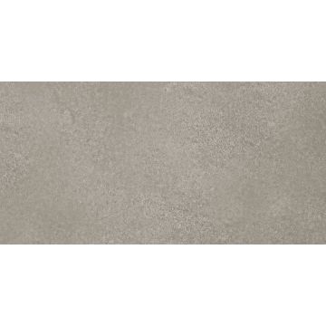 VLT 300X600 XK-8913 M.GREY SPH 1E
